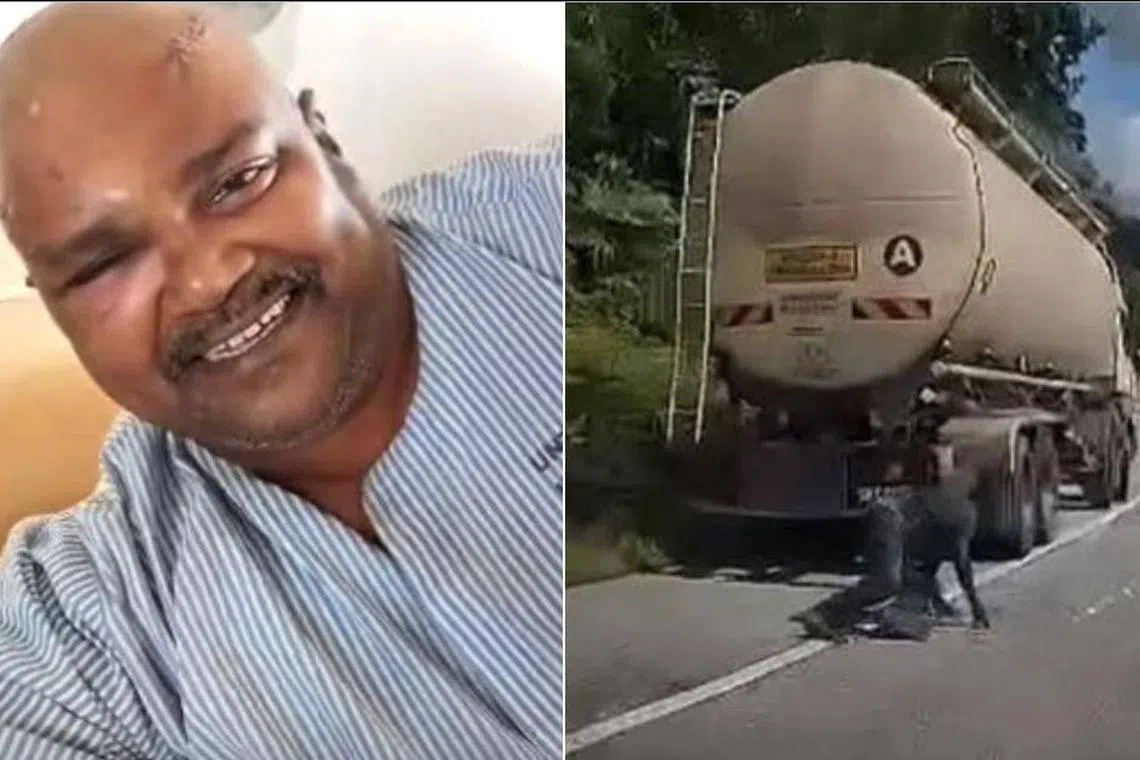 மலேசிய லாரி ஓட்டுநரைத் தாக்கிய கறுஞ்சிறுத்தை 