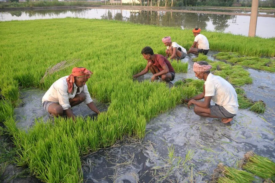 நில மதிப்புக்கும் மேல் அதிகமான விலை கொடுத்து ஆசைகாட்டி, விவசாயிகளிடம் விளைநிலங்களை வாங்குபவர்கள் அதில் எவ்வித வேளாண் உற்பத்தியும் செய்யாமல் சில வருடங்கள் கிடப்பில் போடுவார்கள்.