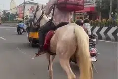 ஊழியர் குதிரையில் சென்ற காட்சியுடன் கூடிய காணொளியும் புகைப்படங்களும் சமூக ஊடகங்களில் பரவலாகப் பகிரப்பட்டன.