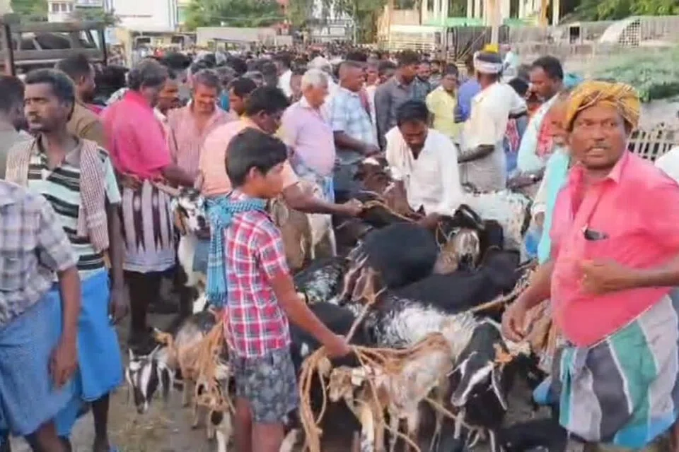 எட்டயபுரம் ஆட்டுச் சந்தையில் ஒரே நாளில் ரூ.4 கோடி மதிப்பிலான ஆடுகள் விற்கப்பட்டன.