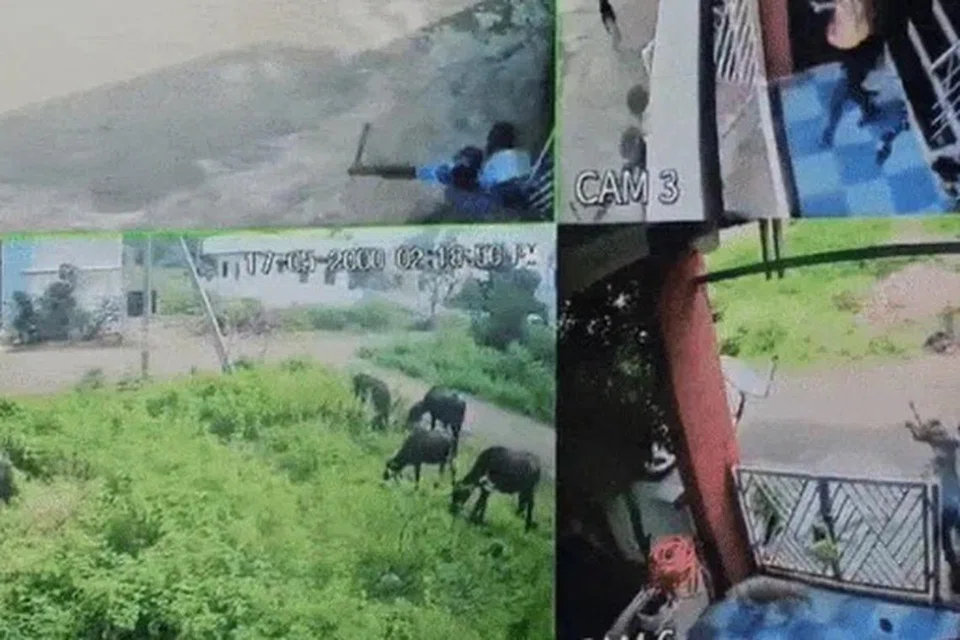 குழந்தைகள் கடத்தப்பட்ட சிசிடிவி காணொளிக் காட்சி.