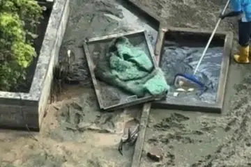 2025ஆம் ஆண்டு மார்ச்சில் ஒரு கூட்டுரிமை அடுக்குமாடிக் குடியிருப்பில், நீர் முழுமையாக வெளியேற்றப்பட்டக் குளத்தின் அடியில் மீன்கள் உயிருக்காகப் போராடிக் கொண்டிருந்தன.
