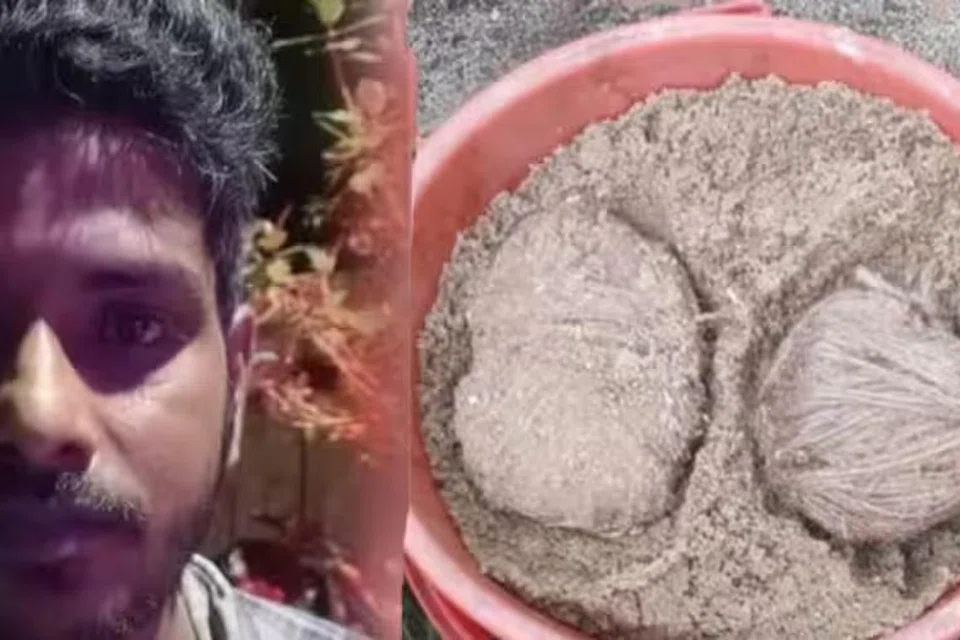 பறிமுதல் செய்யப்பட்ட நாட்டு வெடிகுண்டுகள்.