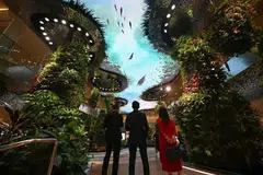 சாங்கி விமான நிலைய முனையம் 2ன் இடைவழிப் பயணப் பகுதியில் 20,000 தாவரங்களை மேற்கூரையில் அமைக்கப்பட்டிருக்கும் மின்னிலக்க உள்ளடக்கத்துடன் இணைக்கும் புதிய தோட்டத்தைக் காணும் பார்வையாளர்கள்.