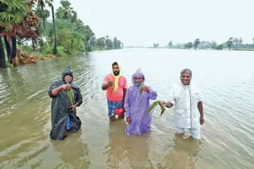கடல்போல் காட்சியளிக்கும் விலை நிலங்கள். விவசாயிகள் பயிர்கள் தண்ணீரில் மூழ்கியுள்ளதை காட்டுகின்றனர்.