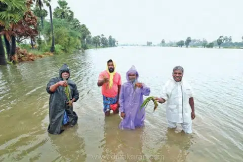 கடல்போல் காட்சியளிக்கும் விலை நிலங்கள். விவசாயிகள் பயிர்கள் தண்ணீரில் மூழ்கியுள்ளதை காட்டுகின்றனர்.