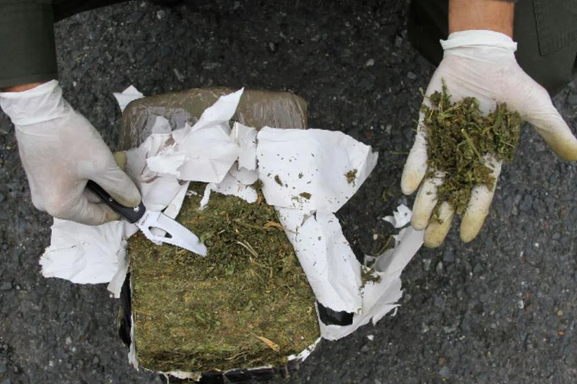 பெங்களூரில் கைதான போதைப் புழங்கிகள்