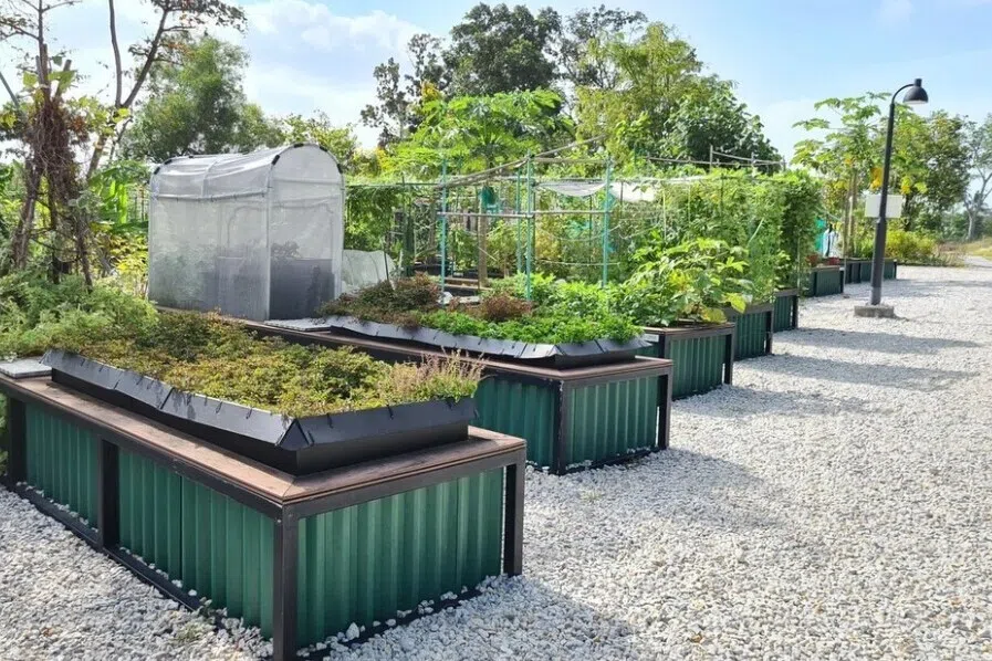 சிங்கப்பூர் வாசிகள் தோட்டம் அமைக்க 140க்கும் மேற்பட்ட இடங்கள்