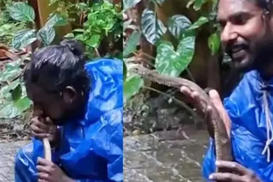 பாம்பை மீட்ட லிஜோ, உடனடியாக அதன் வாய் வழி செயற்கை சுவாசம் அளித்தார்.