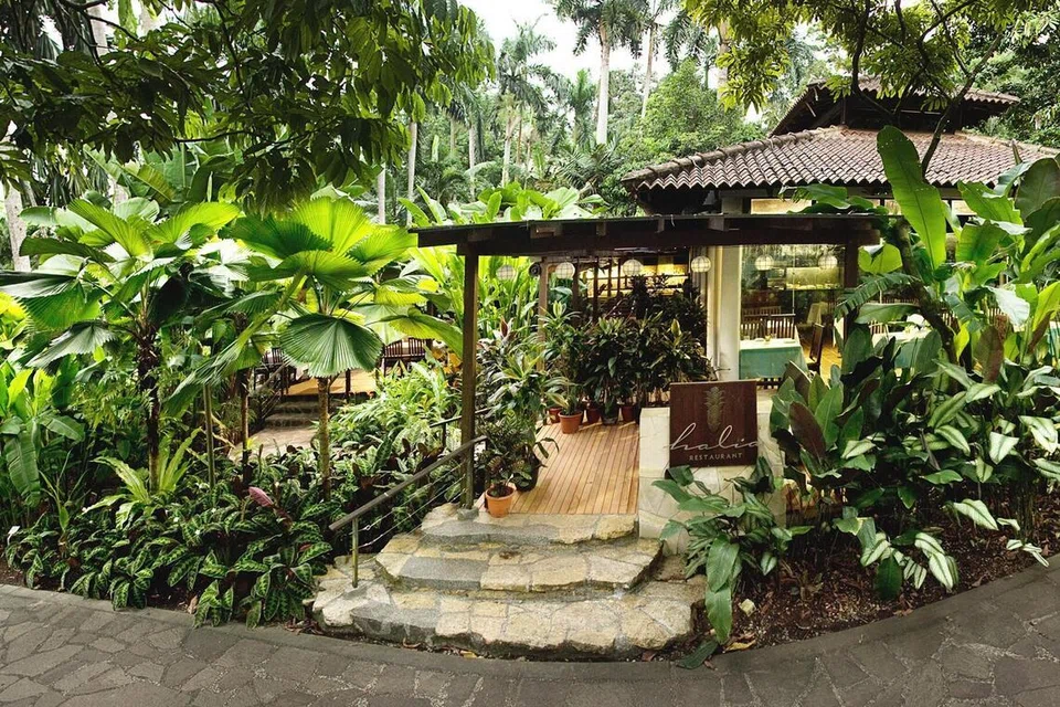 பூமலையில் ‘தி ஹாலியா’ உணவகத்துக்கு இட்டுச் செல்லும் நடைபாதை.