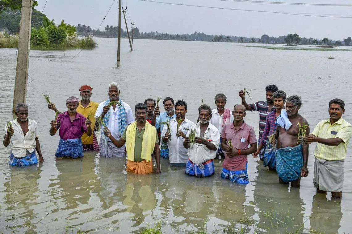நீரில் மூழ்கிய பல்லாயிரம் ஏக்கர் நெற்பயிர்கள்; கவலையில் மூழ்கிய விவசாயிகள்