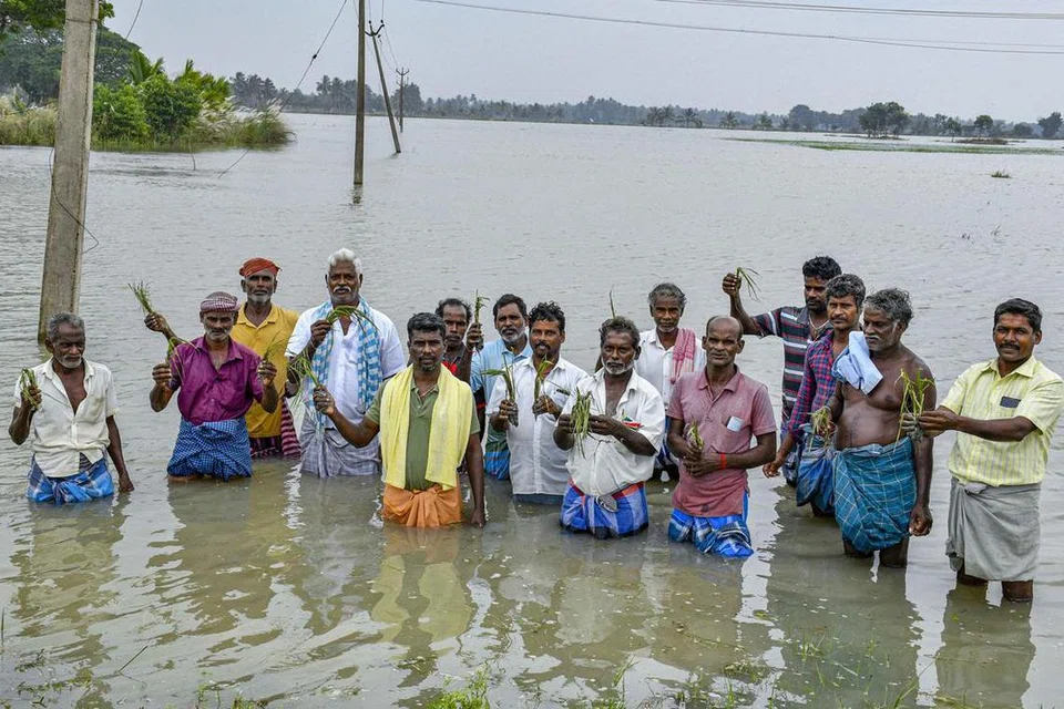 விவசாயிகள், தங்களுக்கு உரிய நிவாரணம் வழங்க வேண்டும் என அரசுக்கு கோரிக்கை விடுத்துள்ளனர்.