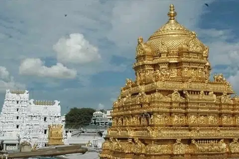 திருப்பதி ஏழுமலையான் கோவிலில் நாள்தோறும் ஏறக்குறைய 50,000க்கும் மேற்பட்ட பக்தர்கள் வழிபாடு செய்கின்றனர். 