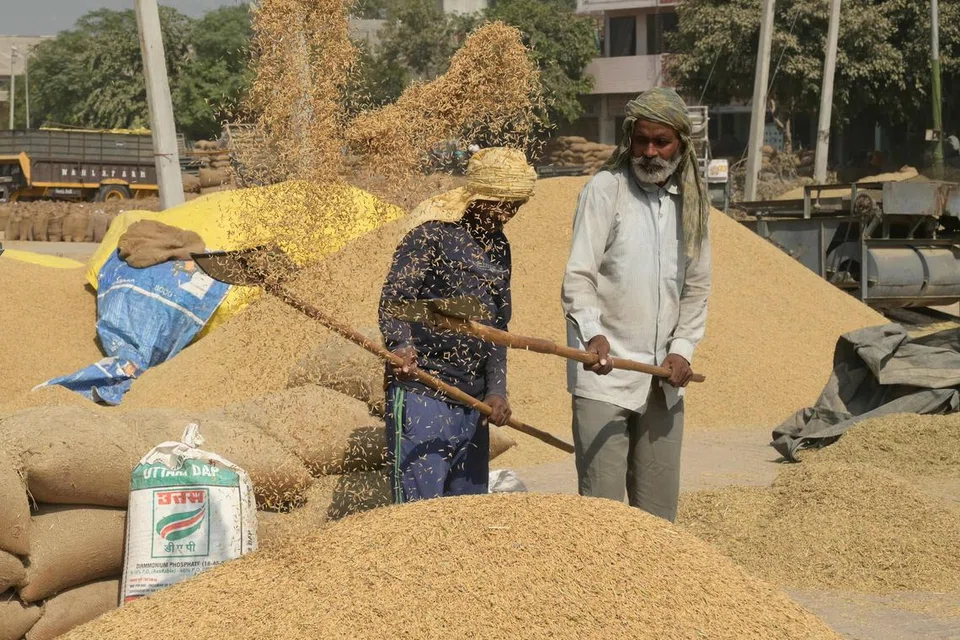 Labourers uses a shovel to separate grains of paddy rice from the husk at a wholesale grain market in Amritsar on October 5, 2023. (Photo by Narinder NANU / AFP)