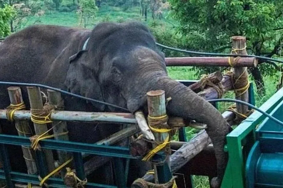 படம்: ஏஎஃப்பி 