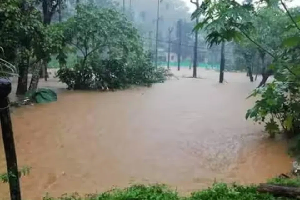 தமிழகத்தில்  பரவலாக கனமழை பெய்துவரும் நிலையில், கோவை, நீலகிரி மாவட்டங்களுக்கு உயர்ந்த எச்சரிக்கை நிலை விடுக்கப்பட்டுள்ளது. 