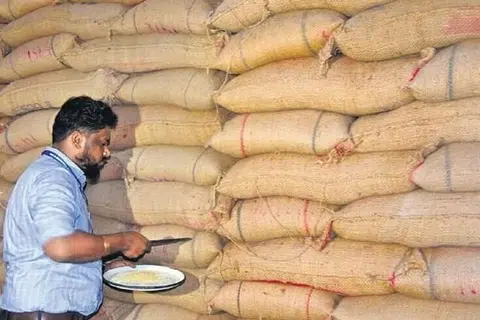 பொதுவாக இந்தியாவில் நெல்லும் செறிவூட்டப்பட்ட அரிசியும் இரண்டு முதல் மூன்று ஆண்டுகள் வரை சேமிப்புக் கிடங்குகளில் இருக்கும். 