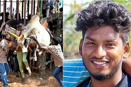 திண்டுக்கல் ஜல்லிக்கட்டு போட்டியில் ஒருவர் உயிரிழப்பு