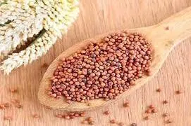 கேழ்வரகு உற்பத்தித் திறனில் தமிழகத்துக்கு முதலிடம்