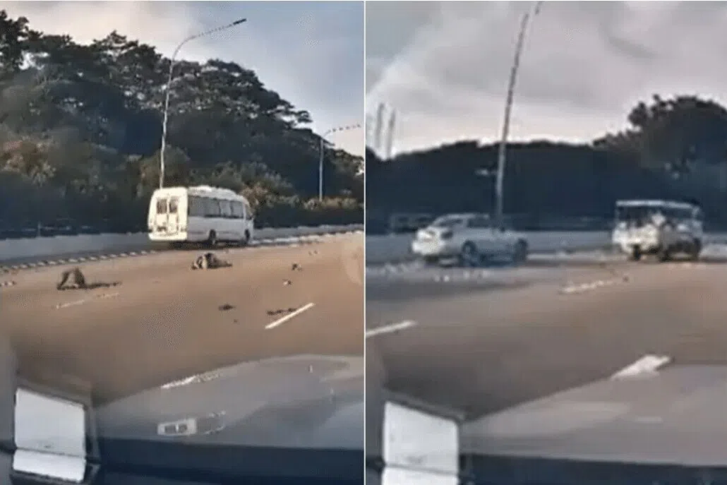 தீவு விரைவுச்சாலை விபத்து: போதையில் இருந்த ஓட்டுநர் கைது