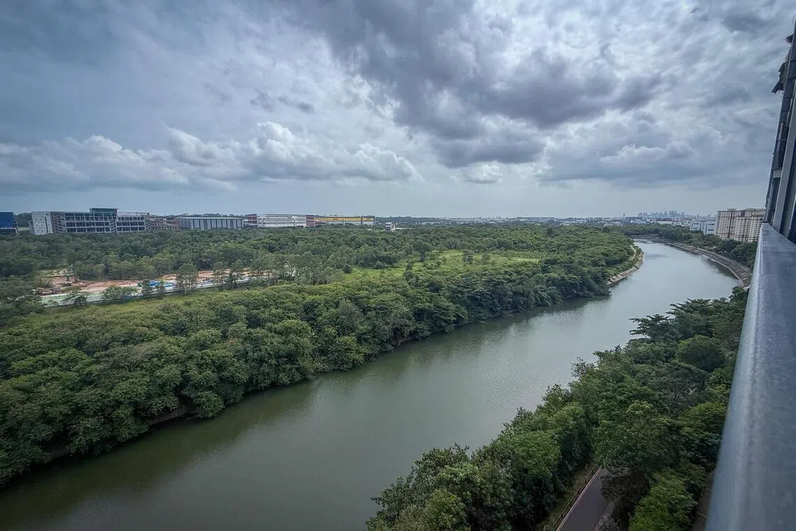 சிராங்கூன் ஆற்றின் வனப்பகுதியில் விரிவான ஆய்வு நடத்த கோரிக்கை