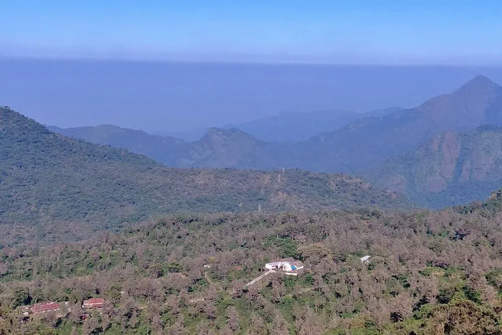 மாஞ்சோலையில்  93 வாக்காளர்கள் ஆனால் 1,182 எஸ்.ஐ.ஆர் படிவங்கள் பதிவேற்றம்