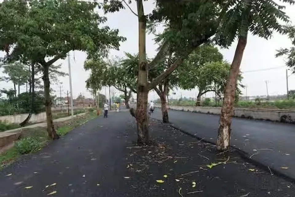 இந்தச் சாலையில் நான்கு சக்கர வாகனங்கள் சென்றால் விபத்தில் சிக்குவது நிச்சயம் என்று சமூக ஆர்வலர்கள் கவலை தெரிவித்துள்ளனர்.