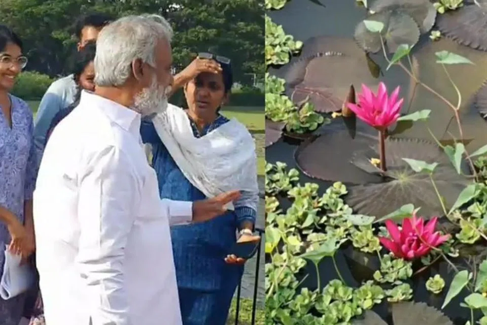 குளத்தில் பூத்திருந்த தாமரை மலர்களை அகற்ற அதிகாரிகளுக்கு இந்து சமய அறநிலையத்துறை சேகர்பாபு உத்தரவிட்டார்.