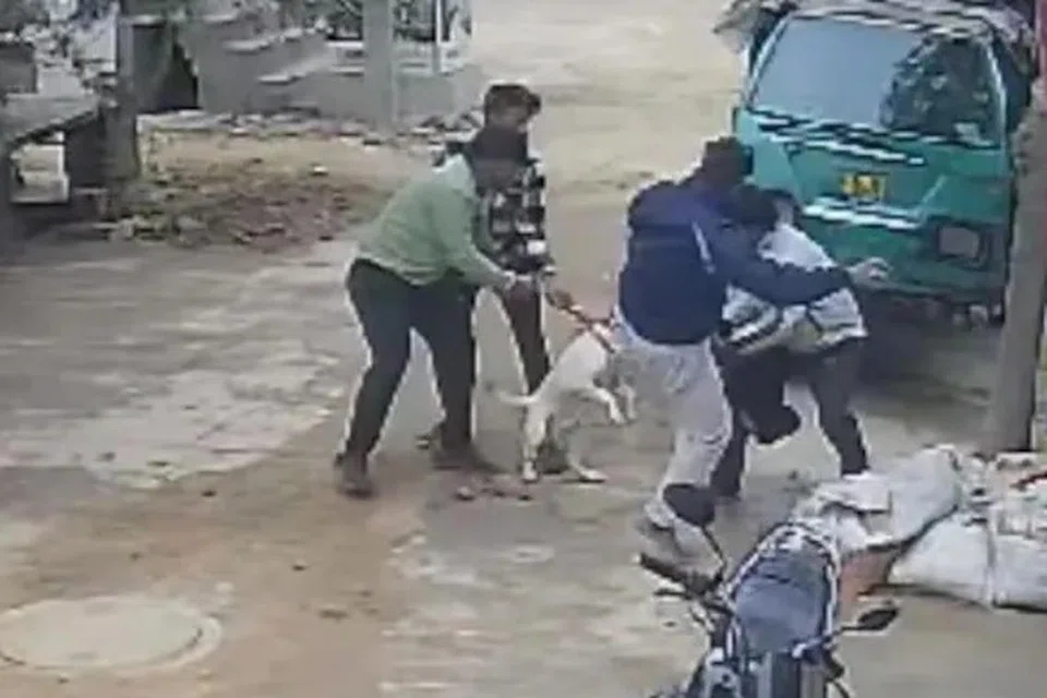நாயின் பிடியிலிருந்து குழந்தையை மீட்கப் போராடும் ஆடவர்கள்.