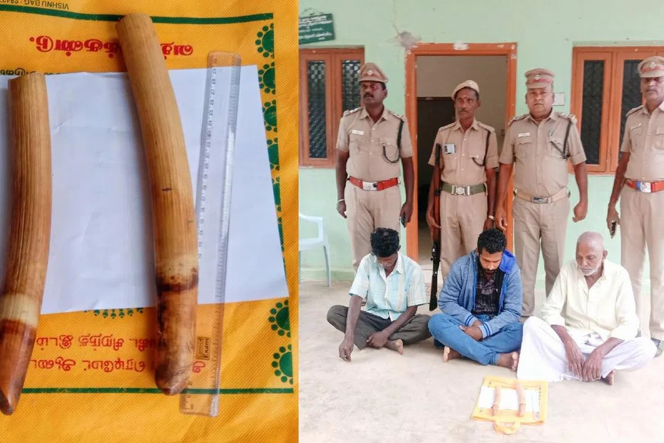 b1dcf652-c8a8-4bed-b37b-c8b9a31955e2