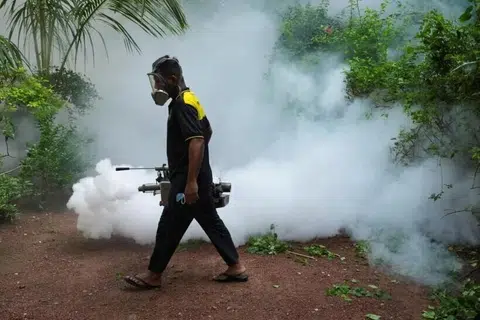 டெங்கிக் காய்ச்சல் தொடர்ந்து அதிகரித்து வருவதாலும் போதுமான வசதிகள் இல்லாததாலும் மருத்துவமனைகள் நெருக்கடியில் சிக்கியுள்ளன.