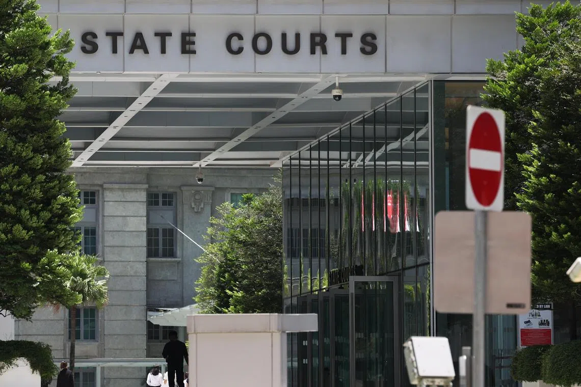 6வது பூனையைக் கொன்றதாக நம்பப்படும் ஆடவர்மீது கூடுதல் குற்றச்சாட்டு