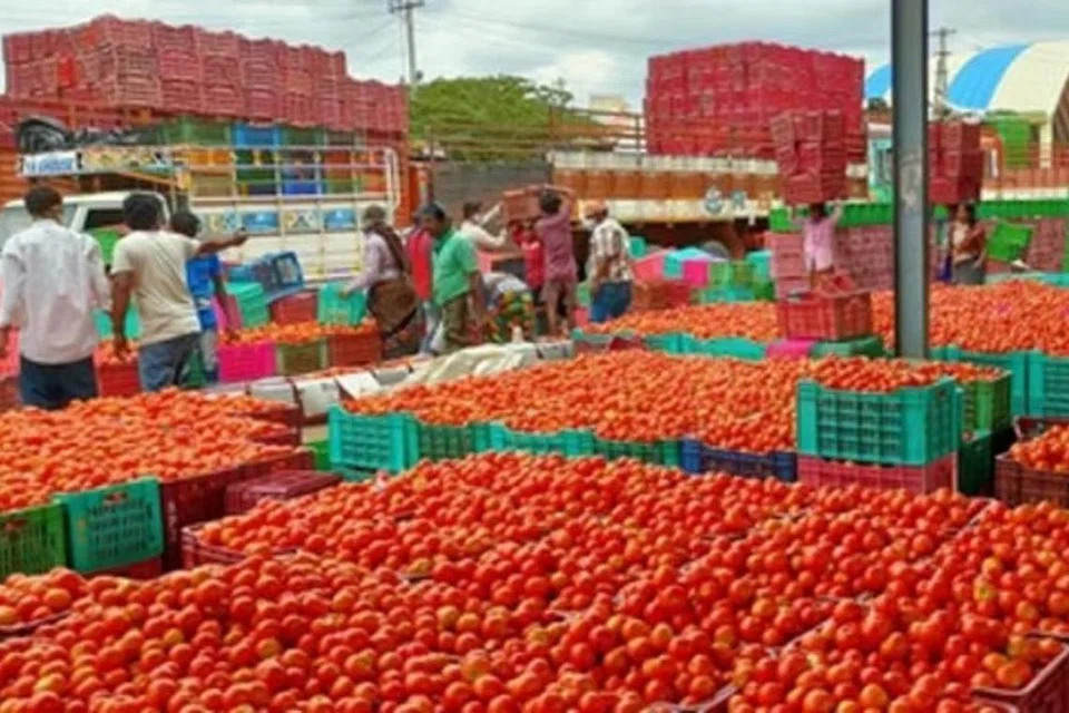 தக்காளி மொத்த விற்பனைச் சந்தை. 
