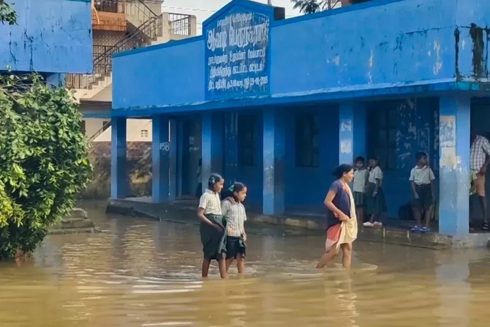 பள்ளிக் கட்டடங்களின் வெளிப்புற, உட்புறச் சுவா்கள், மேல் தளங்கள், கூரைகள் ஆகியவற்றில் தாவரங்கள் வளா்ந்திருந்தால் அவற்றை அகற்ற நடவடிக்கை எடுக்க வேண்டும் எனத் தமிழகப் பள்ளிக் கல்வித்  துறை உத்தரவிட்டுள்ளது.