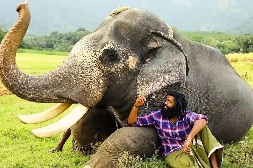  ‘படை தலைவன்’  படக் காட்சி.
