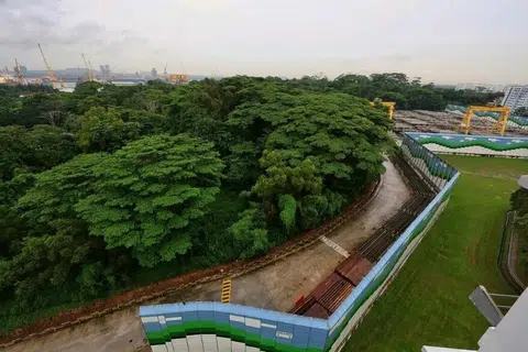 513 வெலிங்டன் சர்க்கிளிலிருந்து காணப்படும் செம்பவாங் வடக்குக் காடு (N5 நிலப்பகுதி).