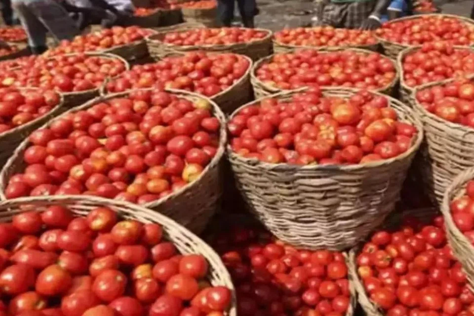 ஆந்திராவில் தக்காளி விலை உயர்ந்துள்ளதையடுத்து கொள்ளைச் சம்பவங்களும் இடம்பெறத் தொடங்கியுள்ளன.