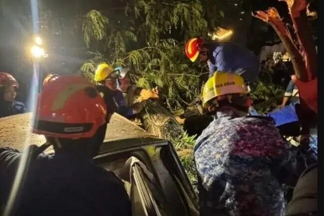 சிங்கப்பூர்த் தூதரகத்திற்கு அருகே மரம் விழுந்து ஒருவர் மரணம்