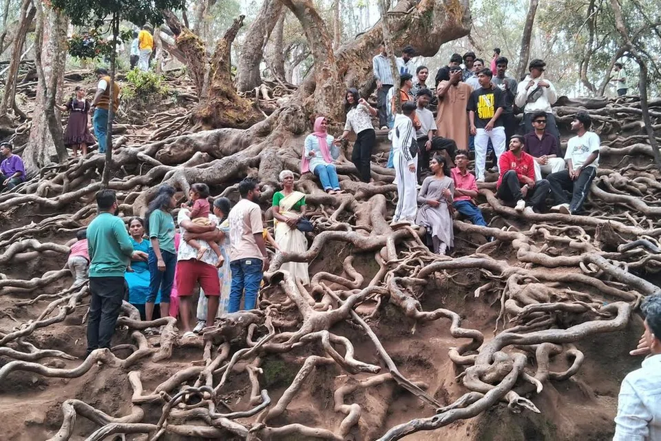 கொடைக்கானல் குணா குகை பகுதியில் புகைப்படம் எடுத்து மகிழும் சுற்றுலாப் பயணிகள். 