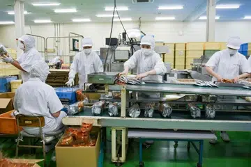 ஜப்பானின் தோச்சிகி மாநிலத்தில் உள்ள ஒரு தொழிற்சாலையில் பணிபுரியும் வியட்னாமியர்.