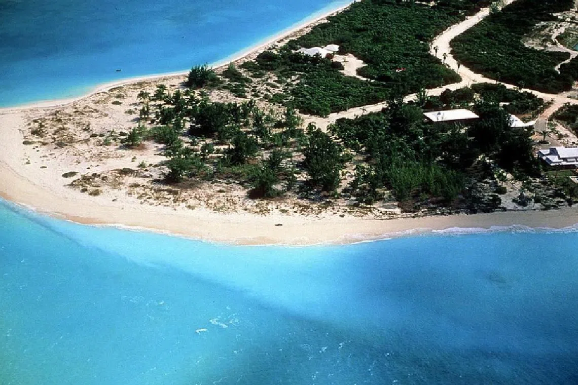 சுற்றுப்பயணியைக் கடித்த சுறாமீன்