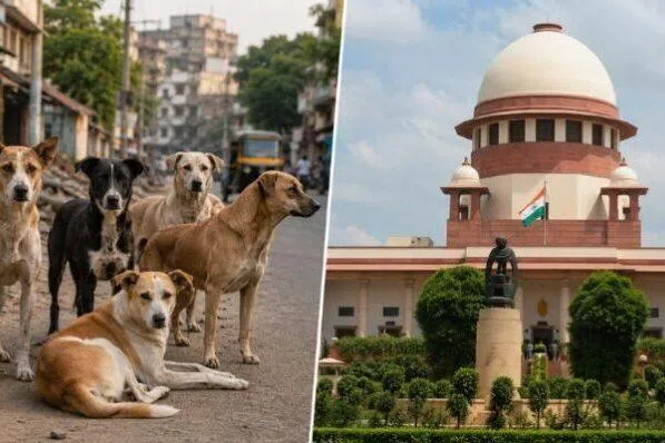 தெருநாய்களைக் கருணைக் கொலை செய்ய இந்திய உச்சநீதிமன்றம் அனுமதி
