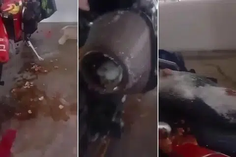 முட்டை வீச்சுக்கு உள்ளானதாக நம்பப்படும் மோட்டார் சைக்கிள்.