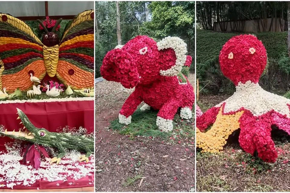ரோஜா மலர்களால் உருவாக்கப்பட்ட யானை, நண்டு, முத்துச்சிப்பி மற்றும் காய்கறிகளால் அமைக்கப்பட்ட உருவங்கள்.