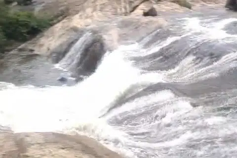 ஸ்ரீவில்லிபுத்தூர் - மேகமலை புலிகள் காப்பகம் சாப்டூர் வனச்சரகத்தில் கடல் மட்டத்திலிருந்து 3,500 அடி உயரத்தில் பிரசித்தி பெற்ற சதுரகிரி சுந்தர மகாலிங்கம் கோயில் அமைந்துள்ளது.