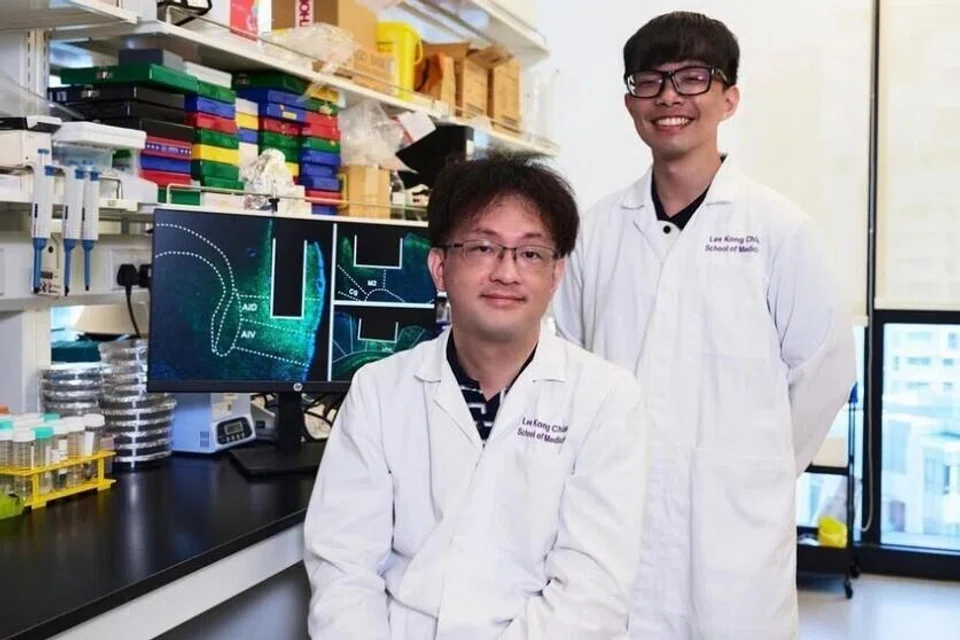 edfe34c5-fa87-4ebf-bc13-2009f99fa766