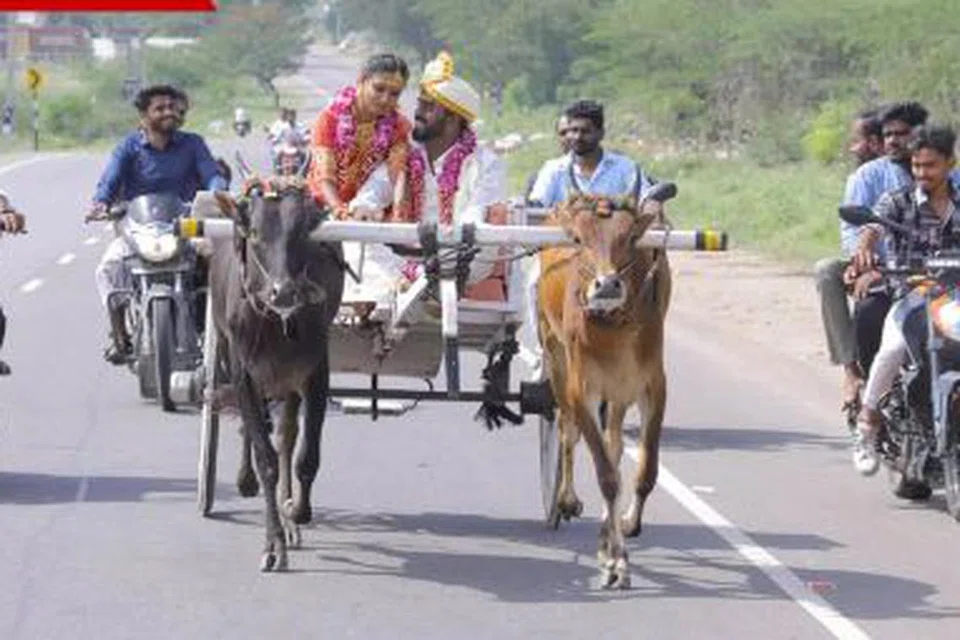 நண்பர்கள் மோட்டார் சைக்கிள்களில் பின்தொடர மாப்பிள்ளையும் மணப்பெண்ணும் மாட்டு வண்டியில்.