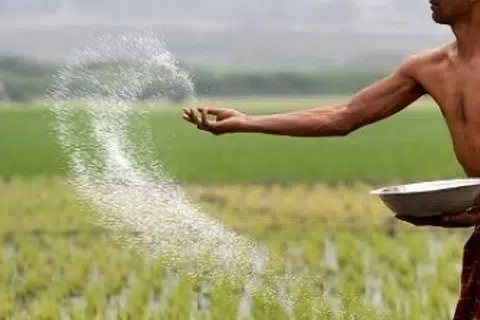போலி உரங்கள் கூடுதல் விலைக்கு விற்பனை செய்யும் தனியார் கடைகளின் சுமையிலிருந்து விவசாயிகளைப் பாதுகாக்கவும், தட்டுப்பாடின்றித் தரமான இடுபொருள்கள் கிடைக்கச் செய்யவும் இந்த ஏற்பாடு வழிவகுக்கும்.