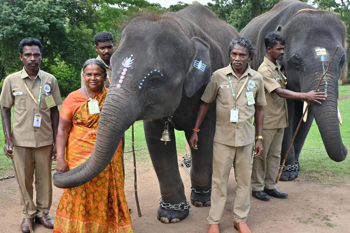 காட்டு யானைகளுக்கு பெயர் சூட்ட வனத்துறை தடை