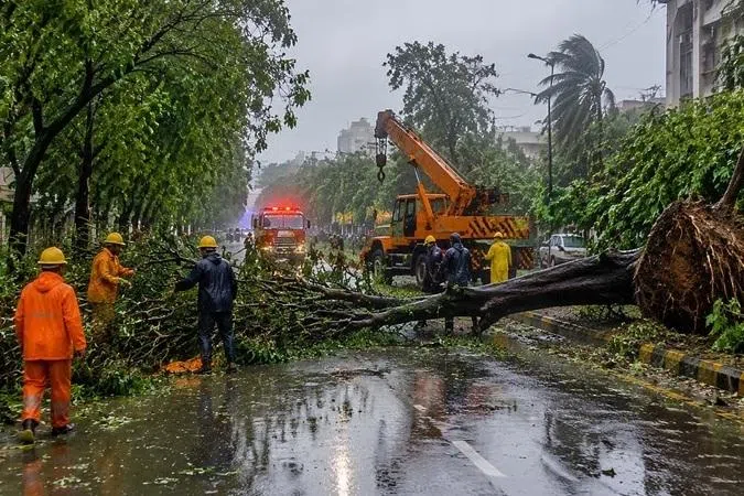 மும்பையில் கனமழையால் 1,100 மரங்கள் சாய்ந்தன